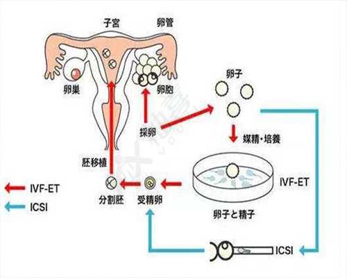 代孕在代孕时要谨慎使用的药物_北京孕检查免费