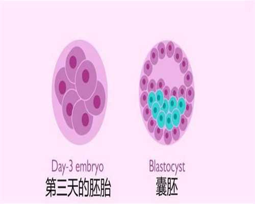 奇妙排卵期身体6种微妙变化_孕网