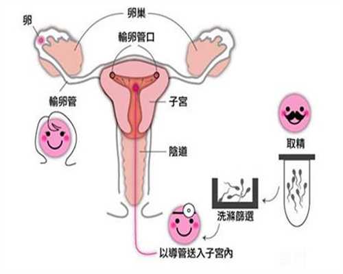 黄瓜拌猪肝－孕前助你好孕的一道食谱_武汉中医