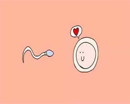 引起女性不孕的十个因素_怎么才知道自己代孕