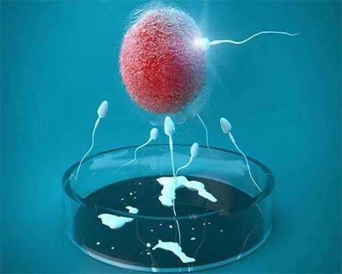 代孕做B超对胎儿有影响吗