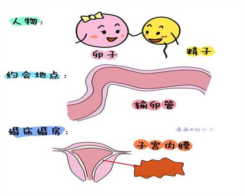 上海市长海医院不孕不育科：代孕“吃喝禁忌”