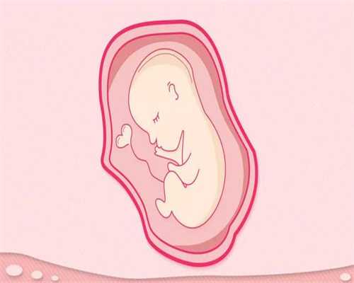 代孕14周胎儿有多大 妈妈肚子大胎宝宝也很大吗