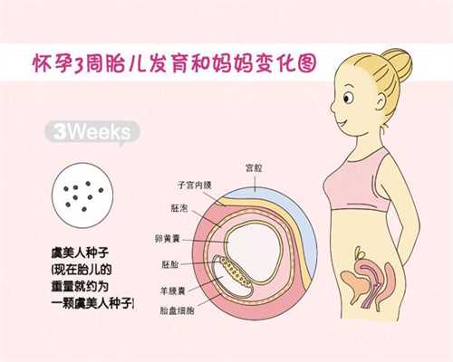 上海建桥医院不孕不育：36岁凯特怀孕7个月滑雪