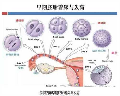 上海代孕无忧包成功_怀孕总胆固醇高的原因是什么-
