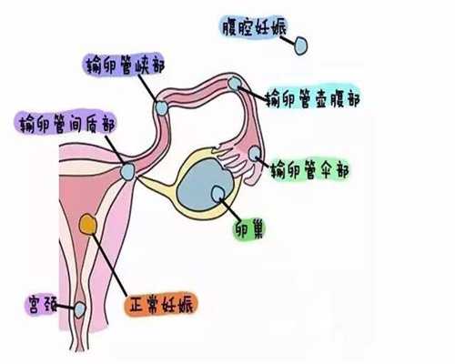 上海高龄代孕-知名上海代孕零首付-上海借卵生子的成功率