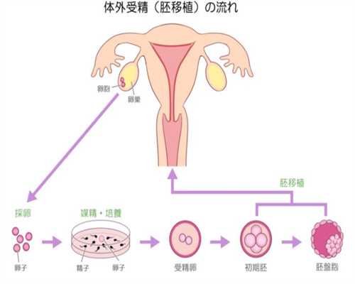 上海代生男孩，上海专业试管代孕，上海代孕产子费用价格