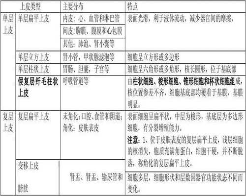 上海急寻代孕-上海代孕热线-准备上海做试管前检查项目