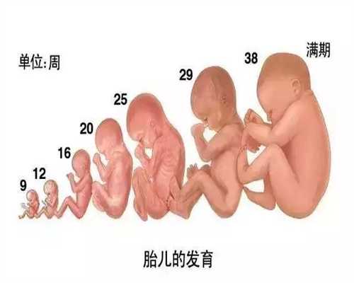 上海代孕热线，上海哪里招聘代孕，2020年上海代生宝宝费用