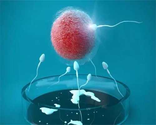 代孕医院服务-泰国有供卵试管吗_性激素正常值参考范围