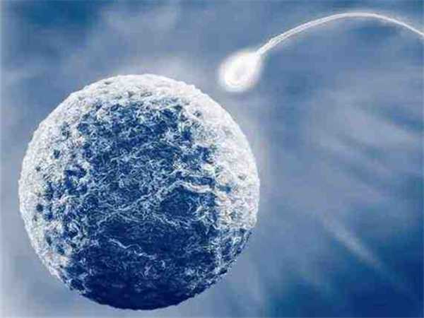 试管婴儿冻囊胚辅助孵化会有伤害胚胎的风险吗？